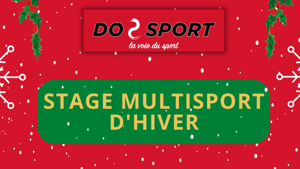 Stage multi-sport, arts martiaux et culturel – Noël