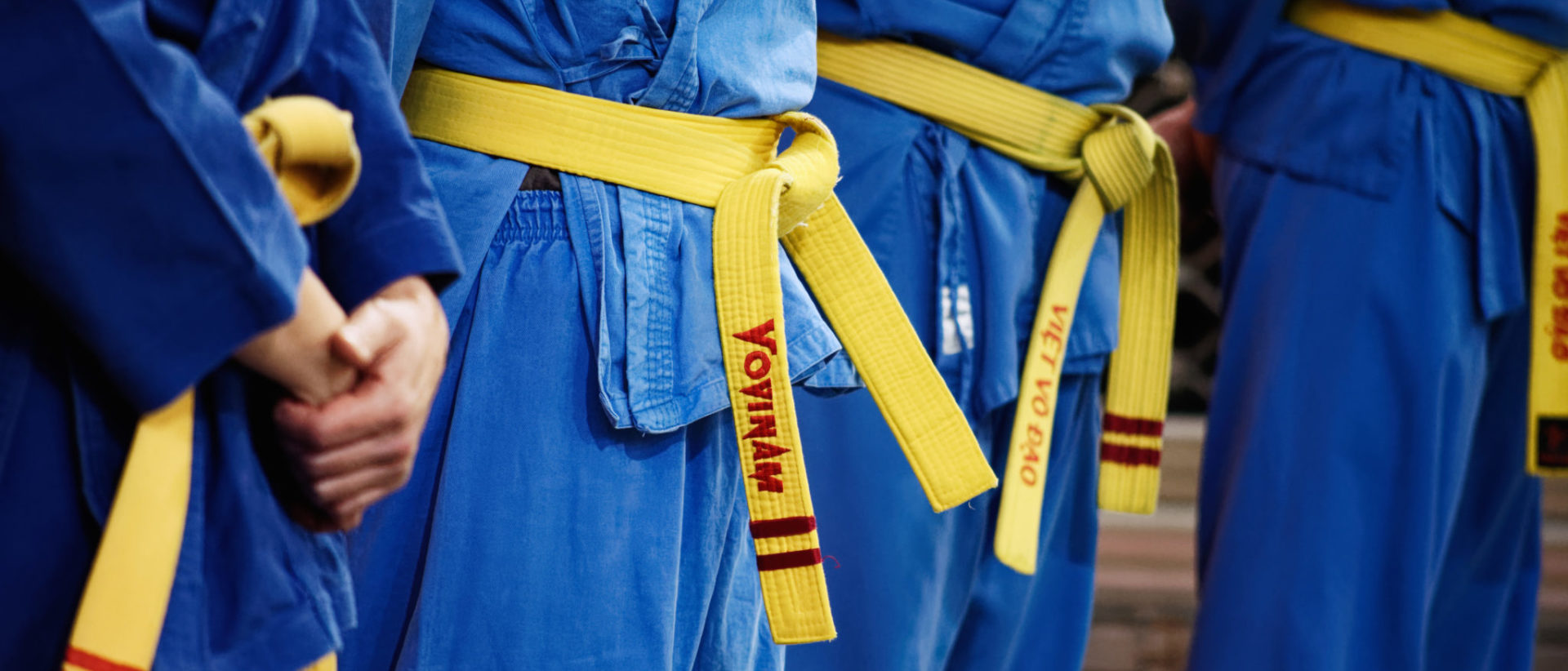 Vovinam viet vo dao